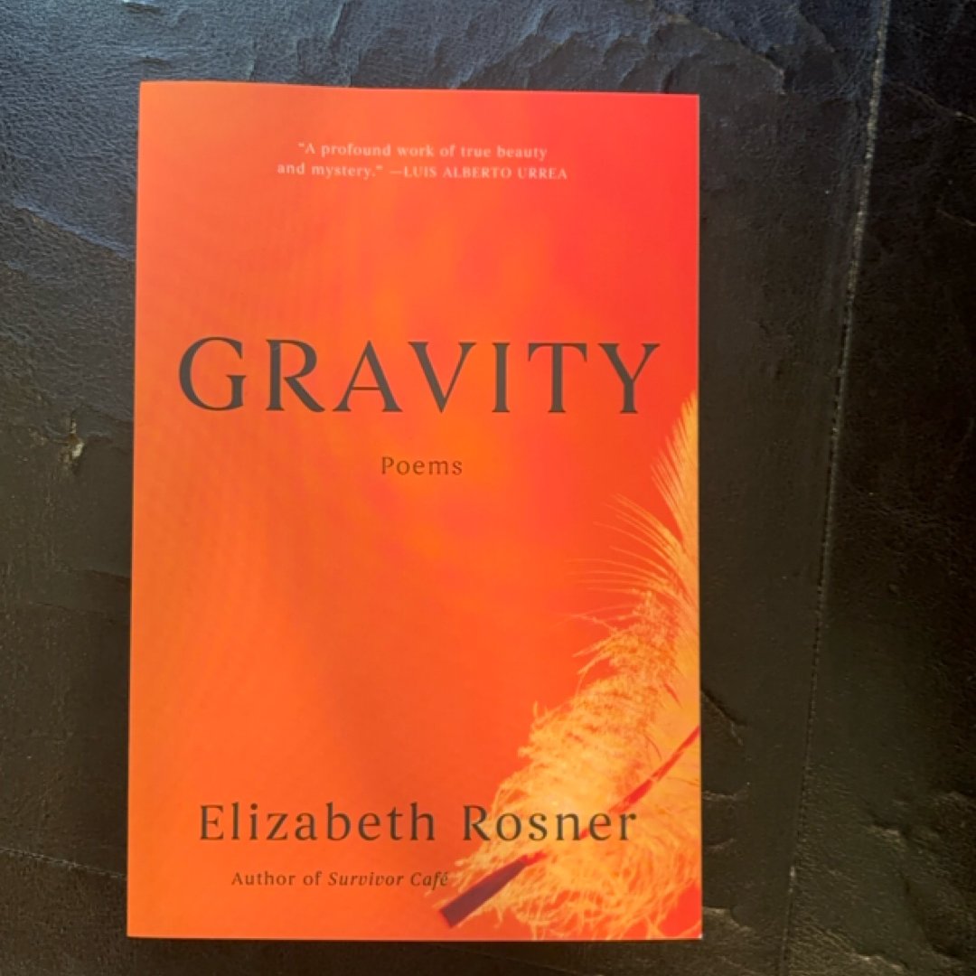 Gravity