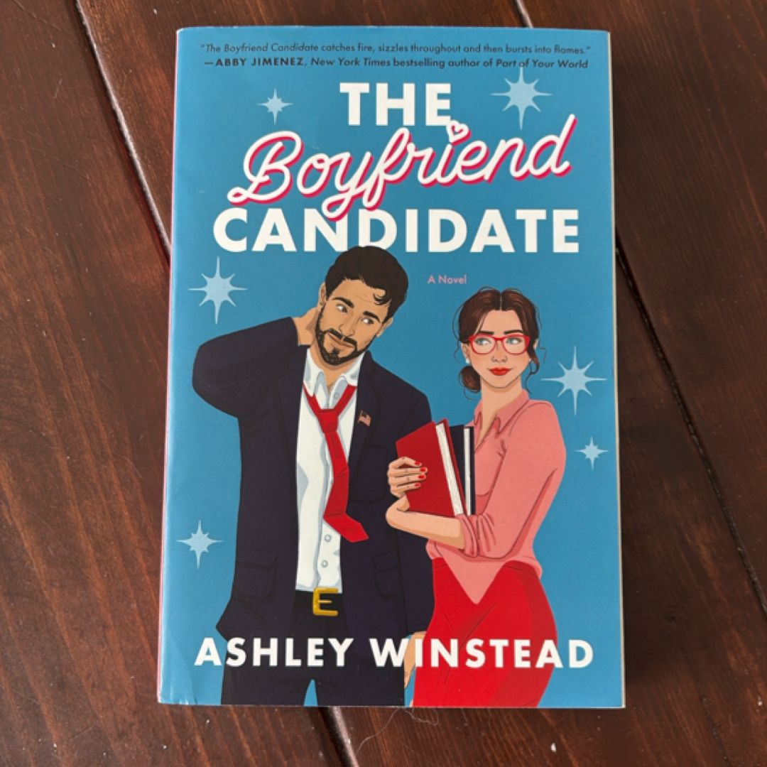 The Boyfriend Candidate
