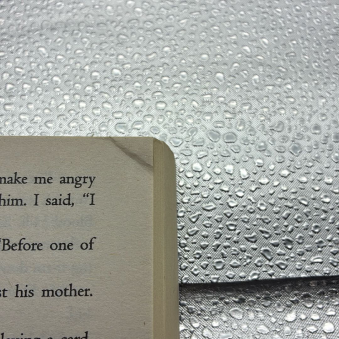 The Lightning Thief (Percy Jackson and the Olympians, Book One)