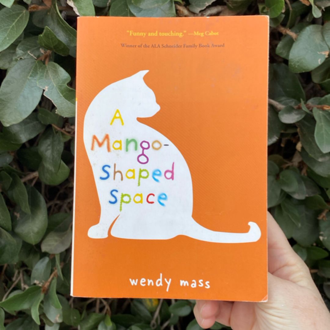 A Mango-Shaped Space