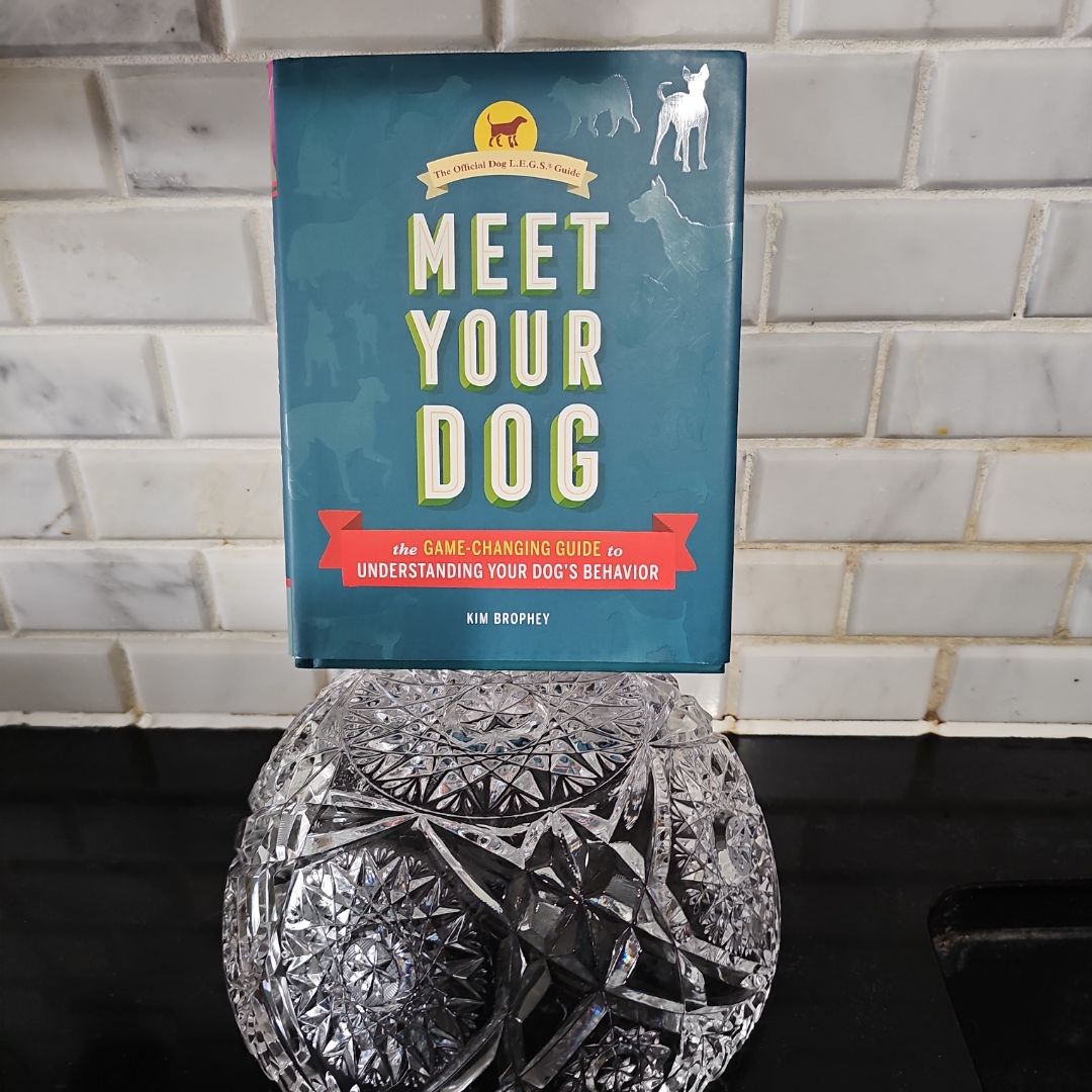Meet Your Dog