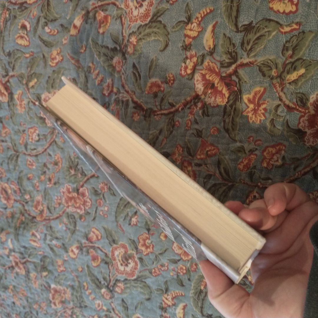 The Children's Blizzard