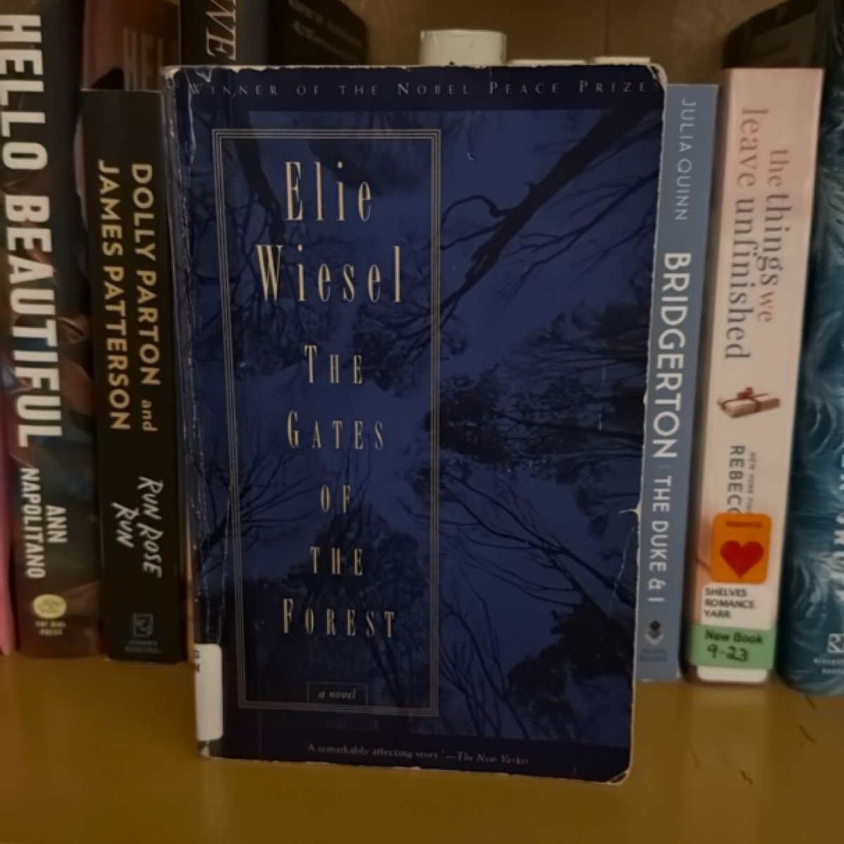 The Gates of the Forest by Elie Wiesel