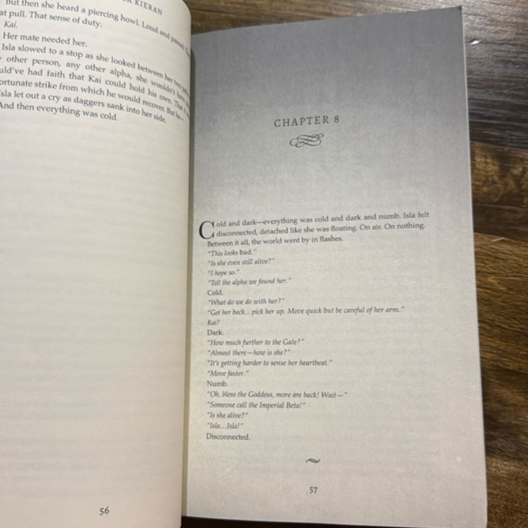 A Warrior's Fate - Book 1