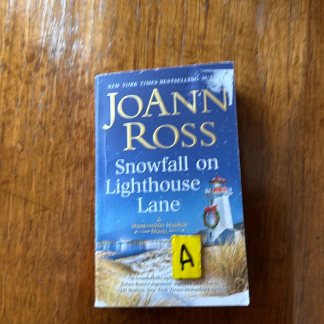 Snowfall on Lighthouse Lane