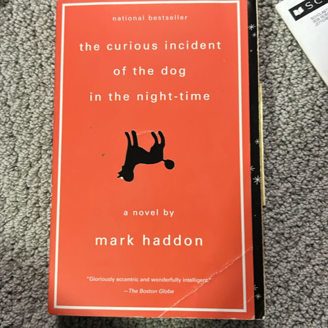 The Curious Incident of the Dog in the Night-Time
