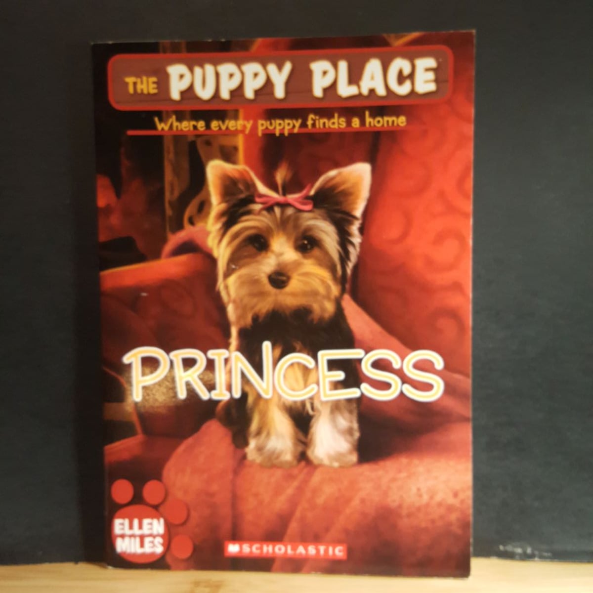 Princess by Ellen Miles