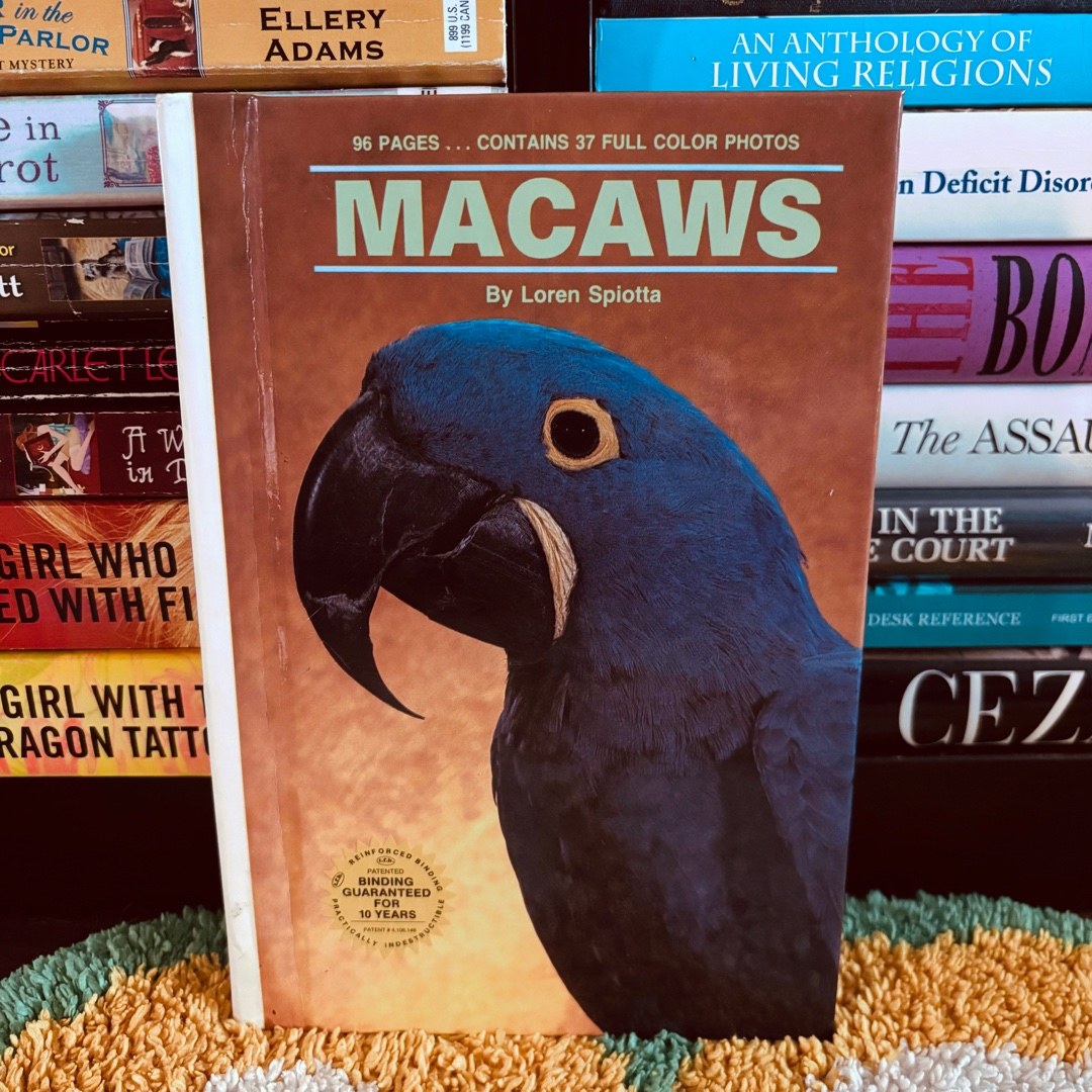 Macaws