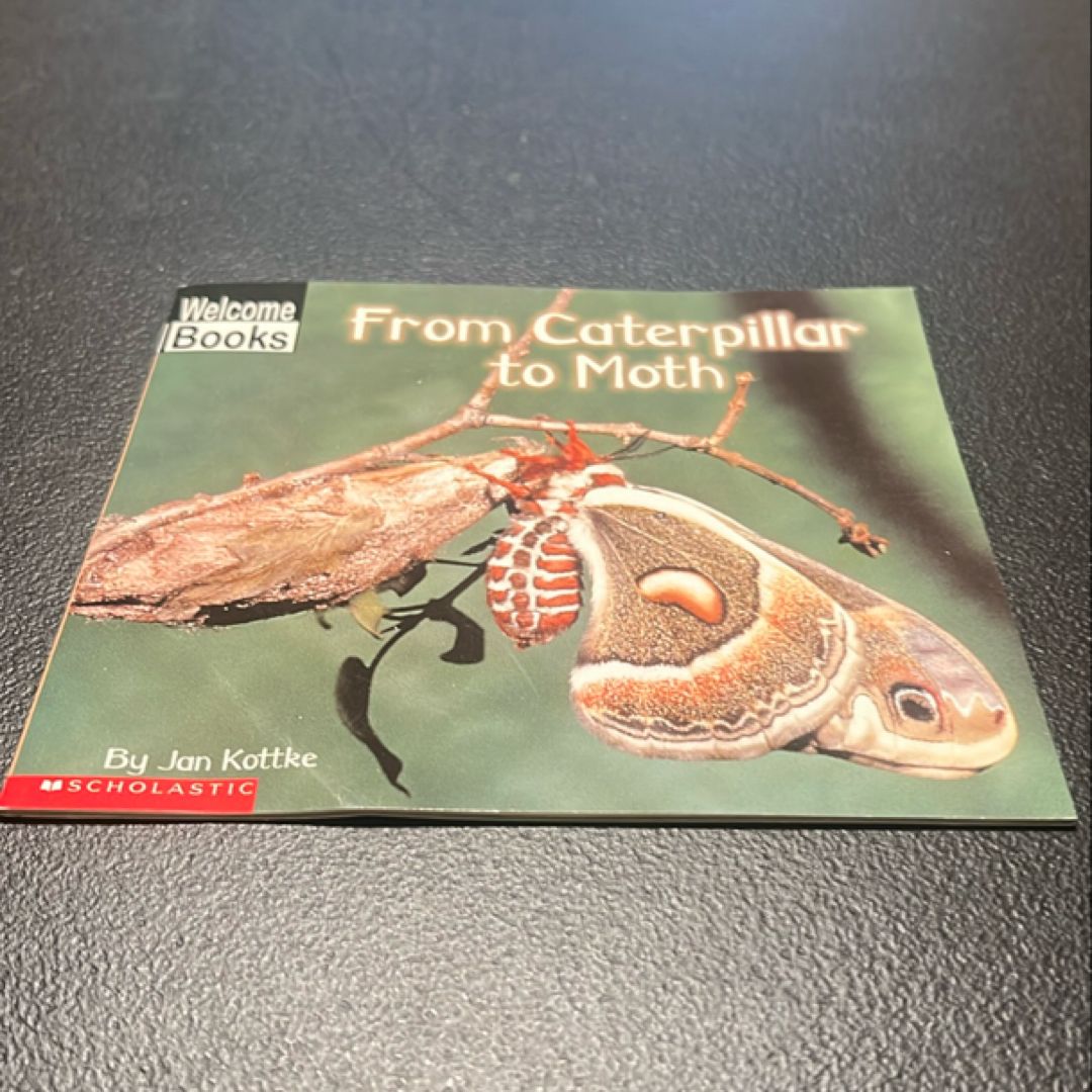 From Caterpillar to Moth