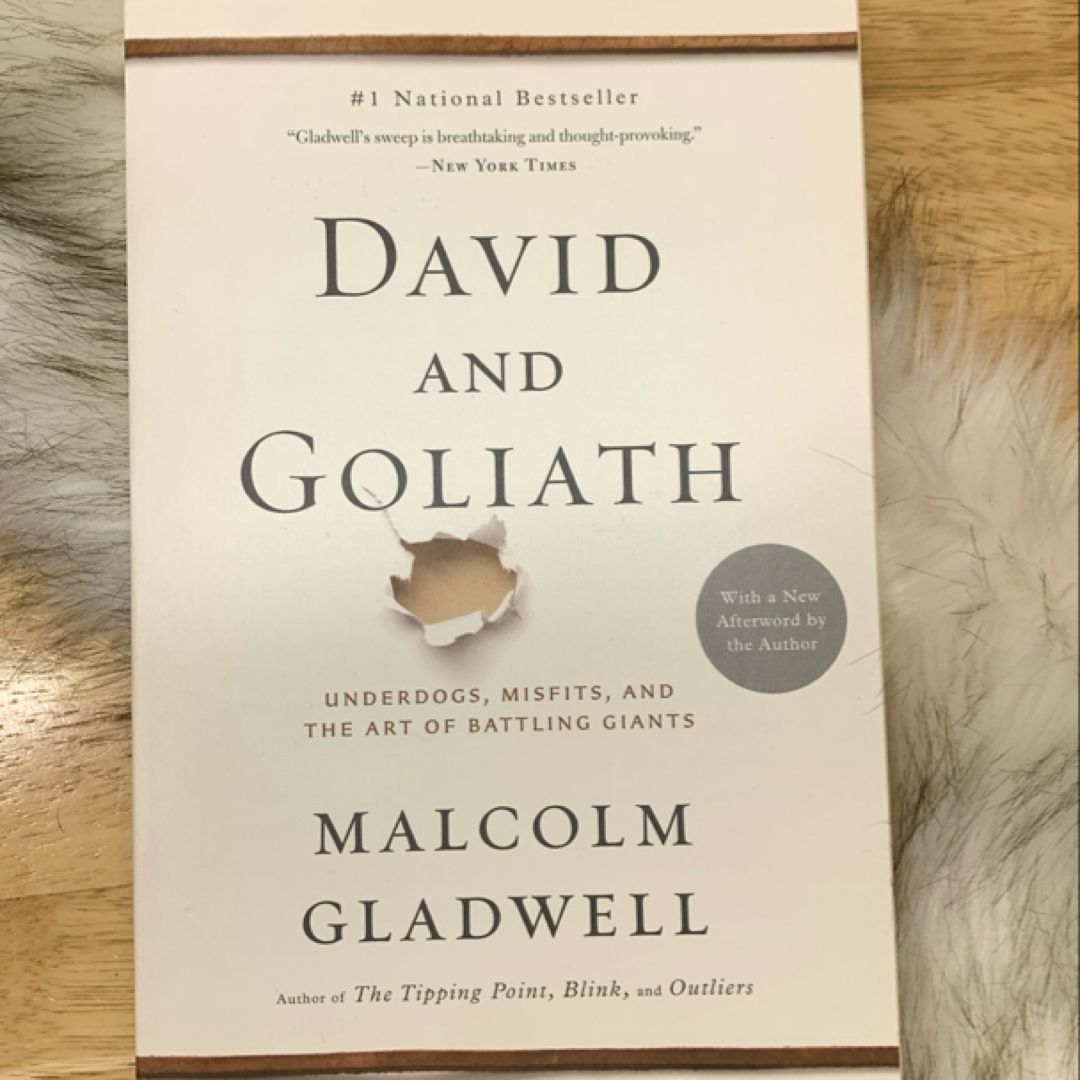 David and Goliath