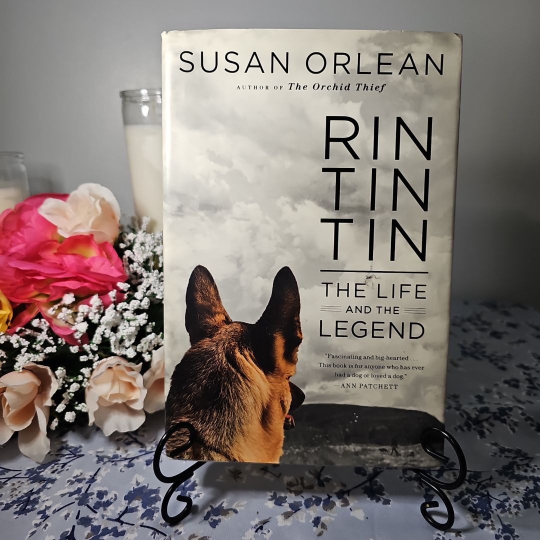 Rin Tin Tin