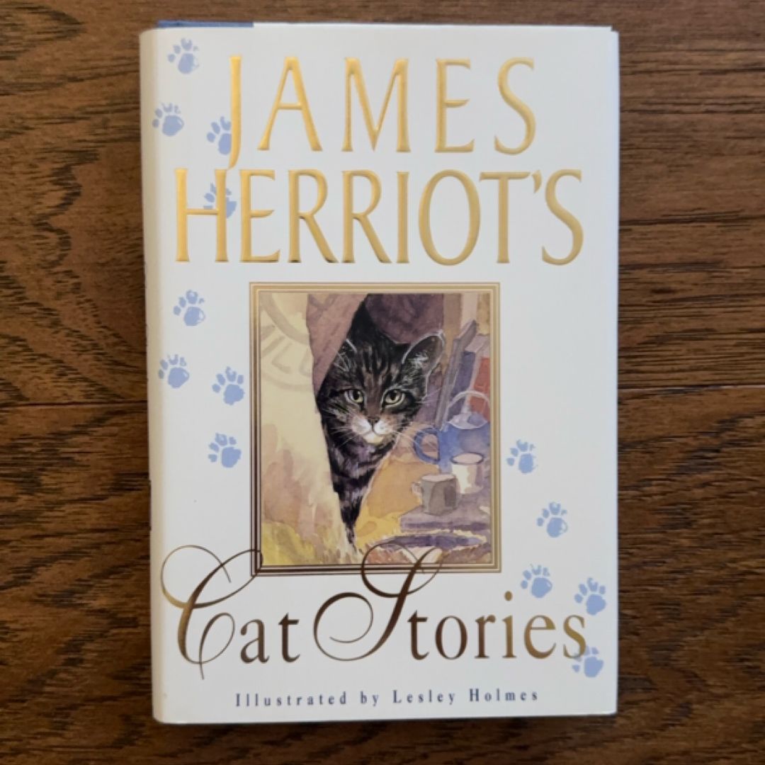 Cat Stories