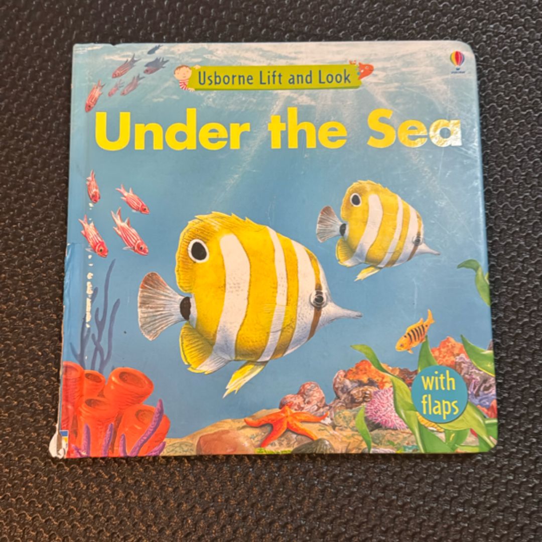 Under the Sea Lift and Look