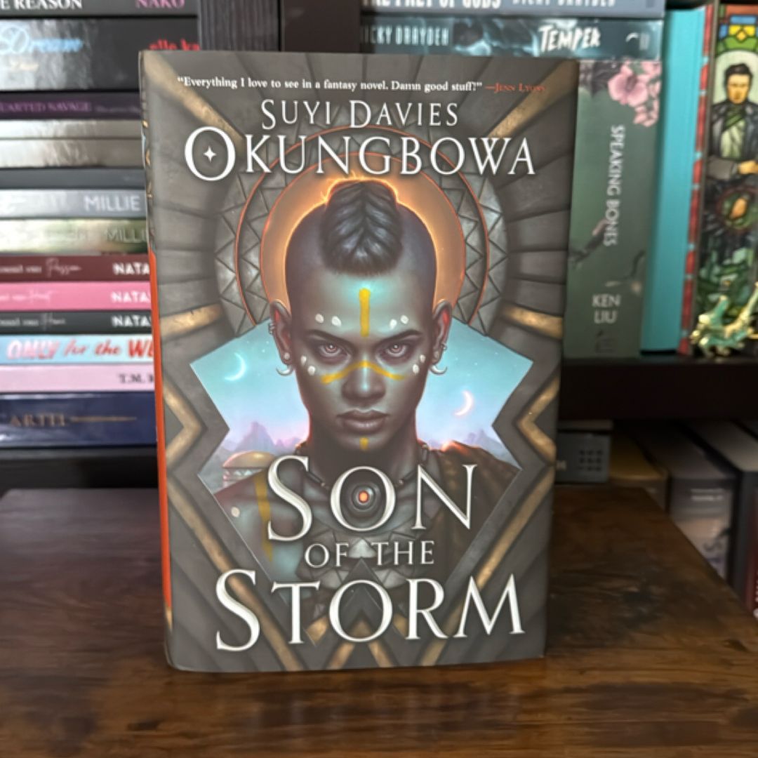 Son of the Storm 