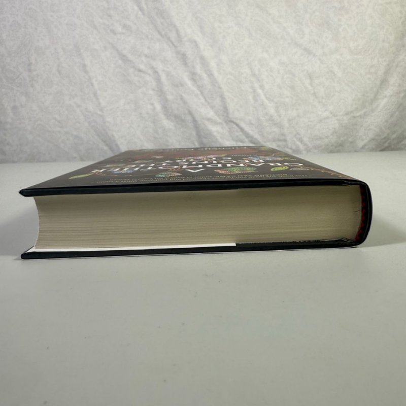 A Grandmother Begins the Story