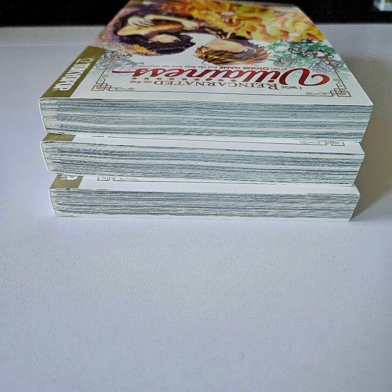 I Was Reincarnated As the Villainess in an Otome Game but the Boys Love Me Anyway!, Volume 1-3