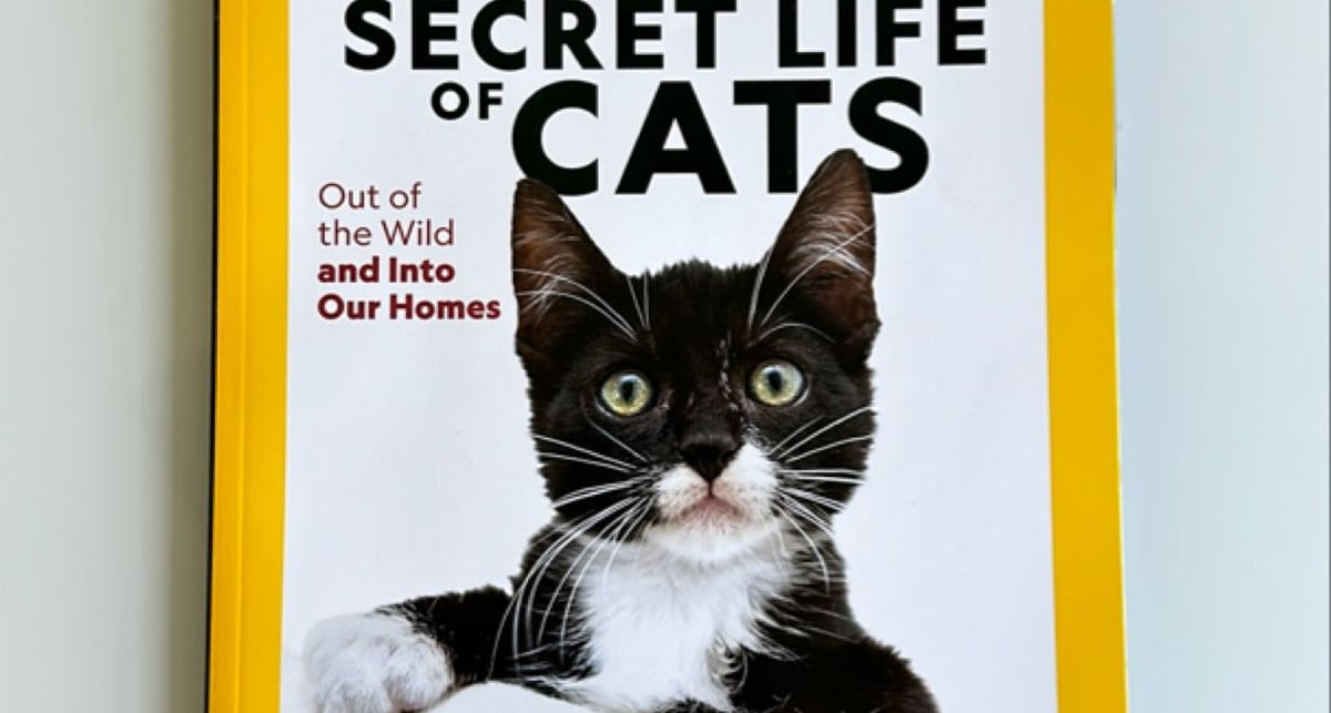 SPECIAL Publication National Geographic. The | PangoBooks