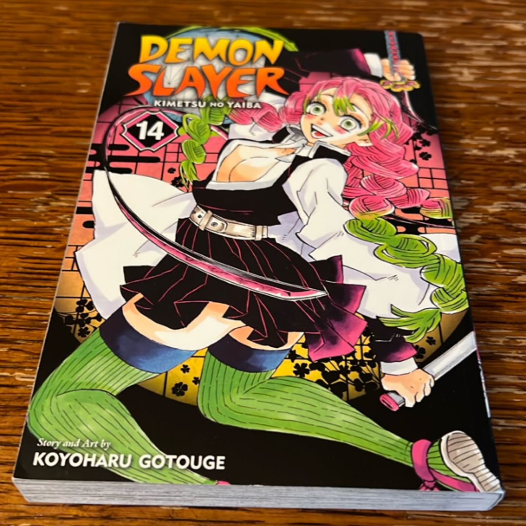 Demon Slayer: Kimetsu No Yaiba, Vol. 14