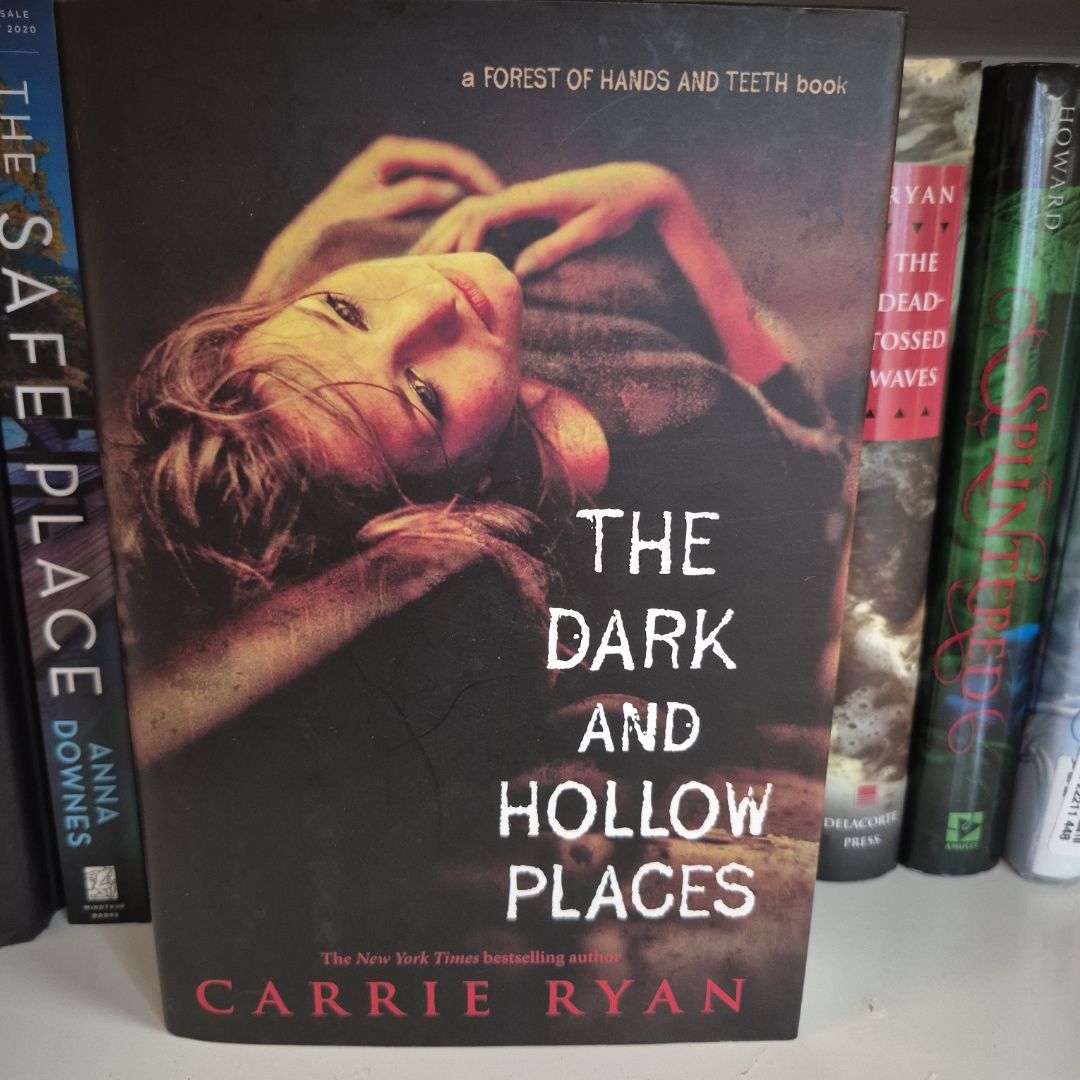 The Dark and Hollow Places