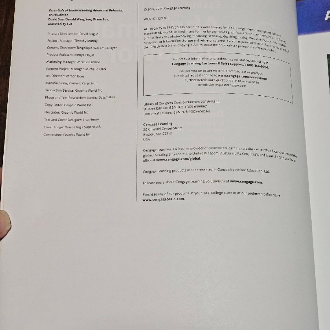 Essentials of Understanding Abnormal Behavior - 3rd Edition 
