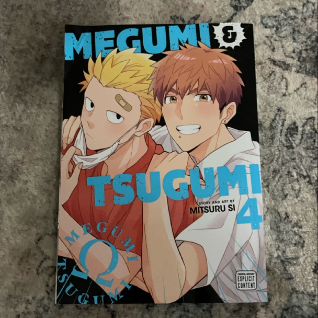 Megumi and Tsugumi, Vol. 4