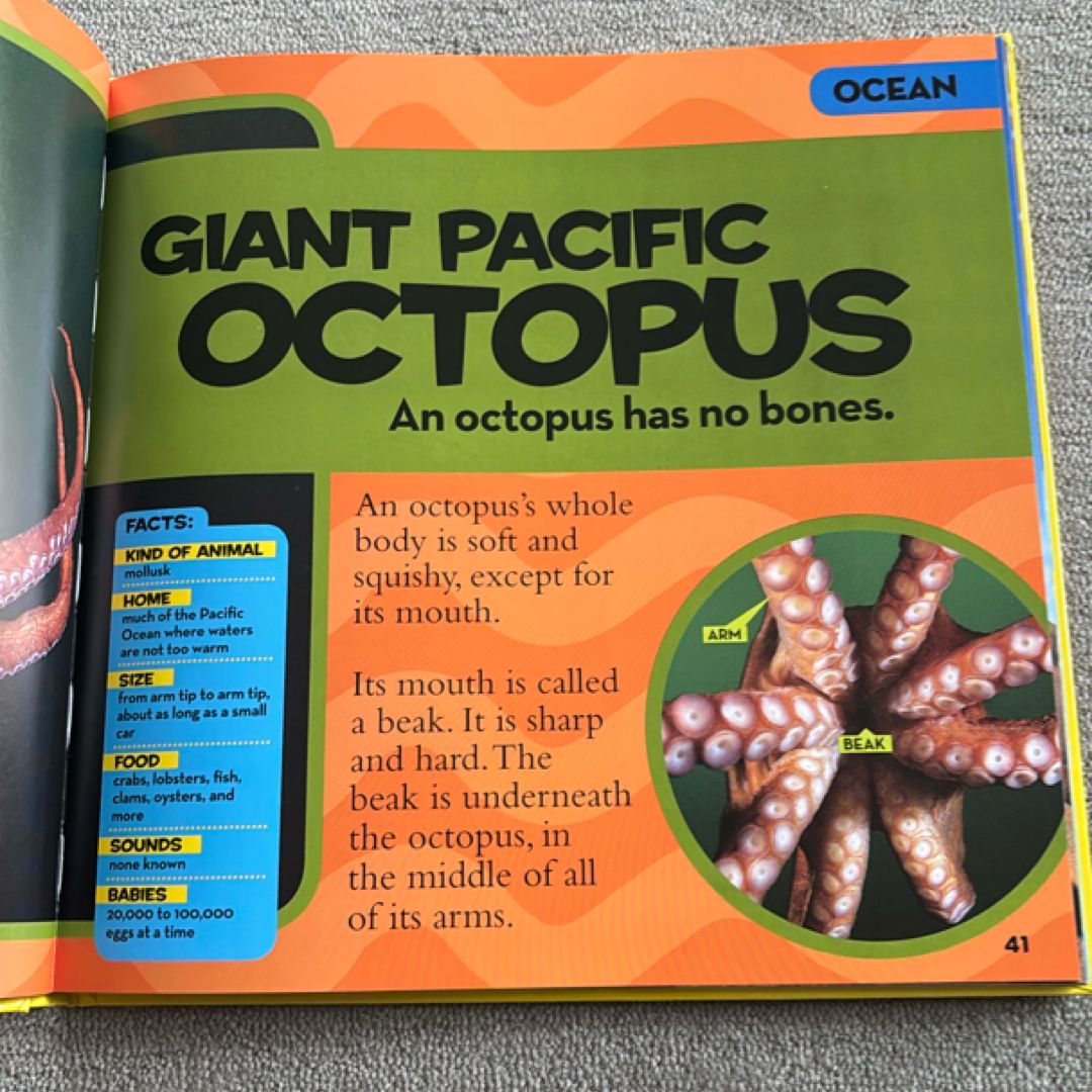 National Geographic Little Kids First Big Book of Animals