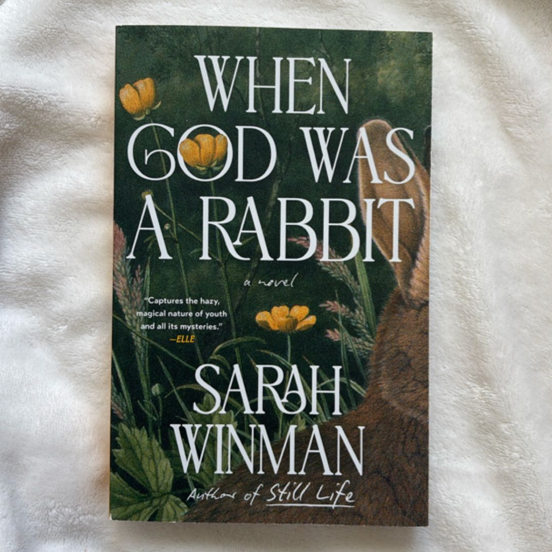 When God Was a Rabbit