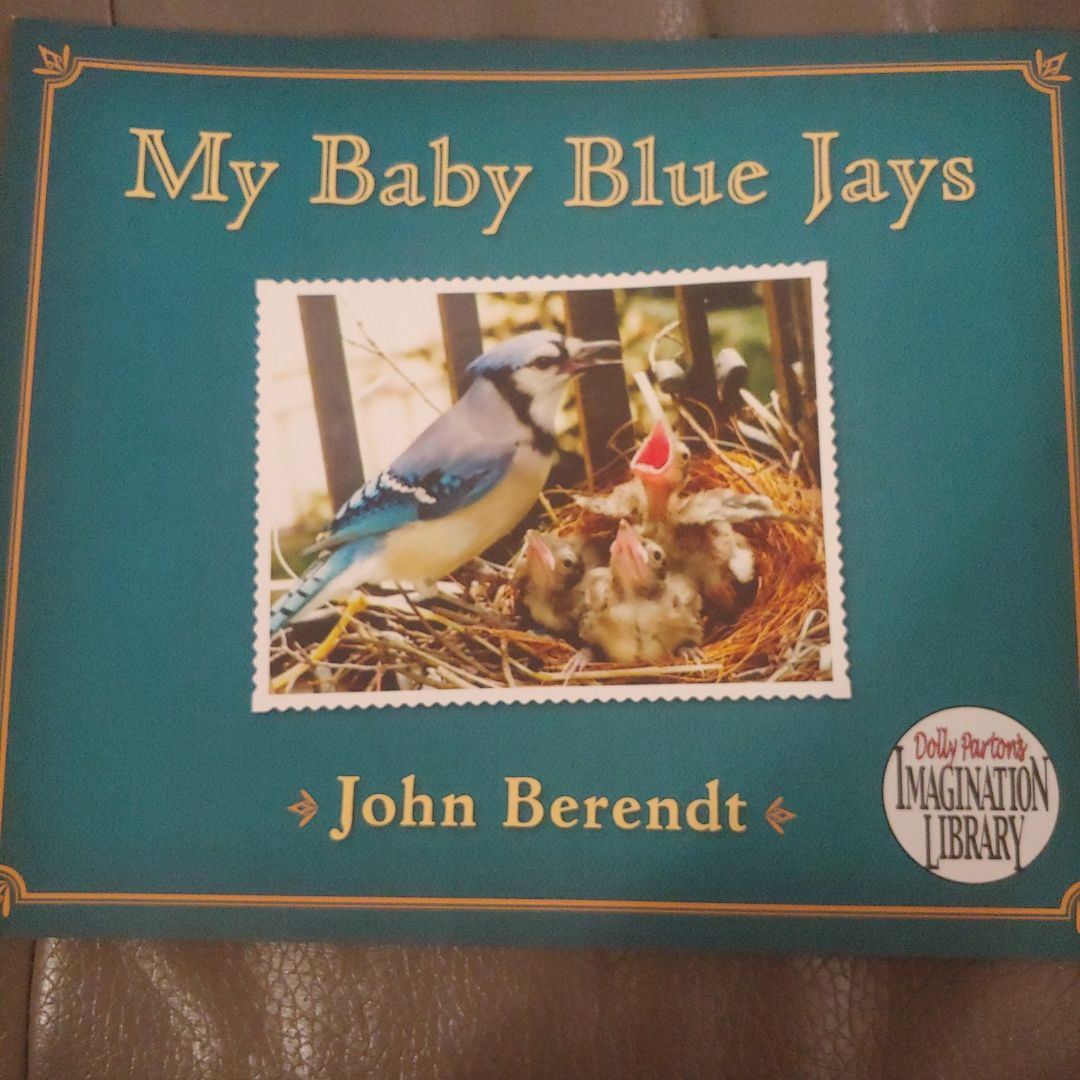 My Baby Blue Jays