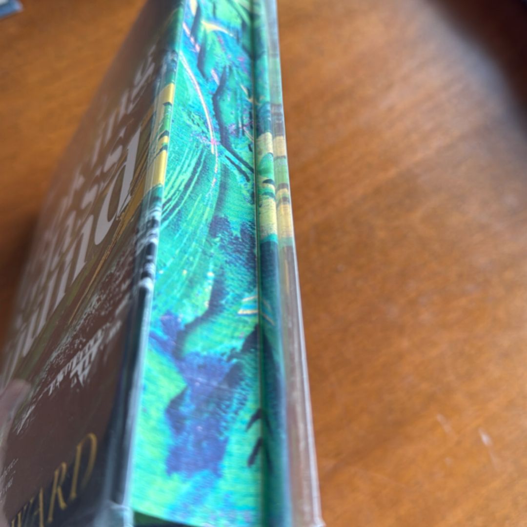 Looking Glass Sound SIGNED first edition