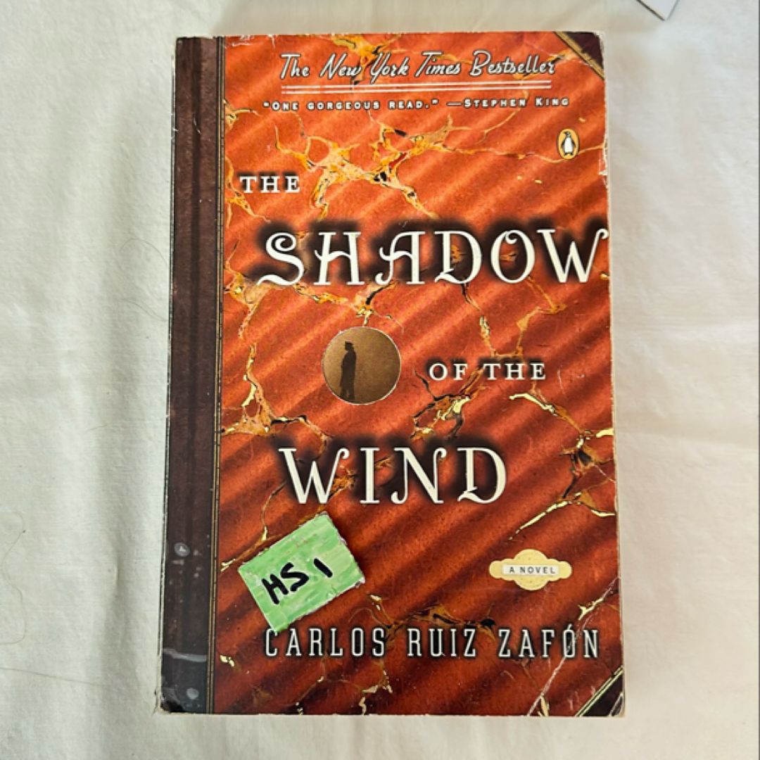 The Shadow of the Wind