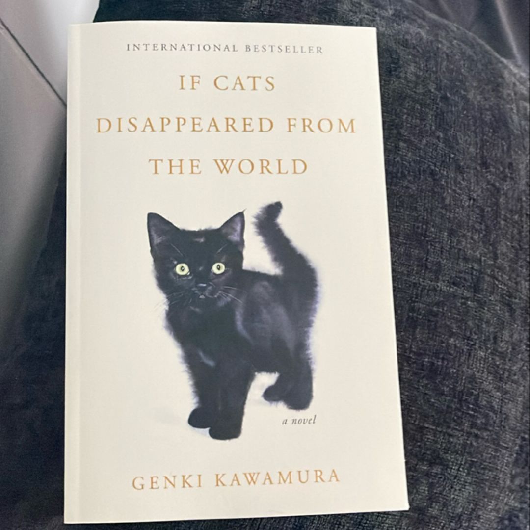 If Cats Disappeared from the World