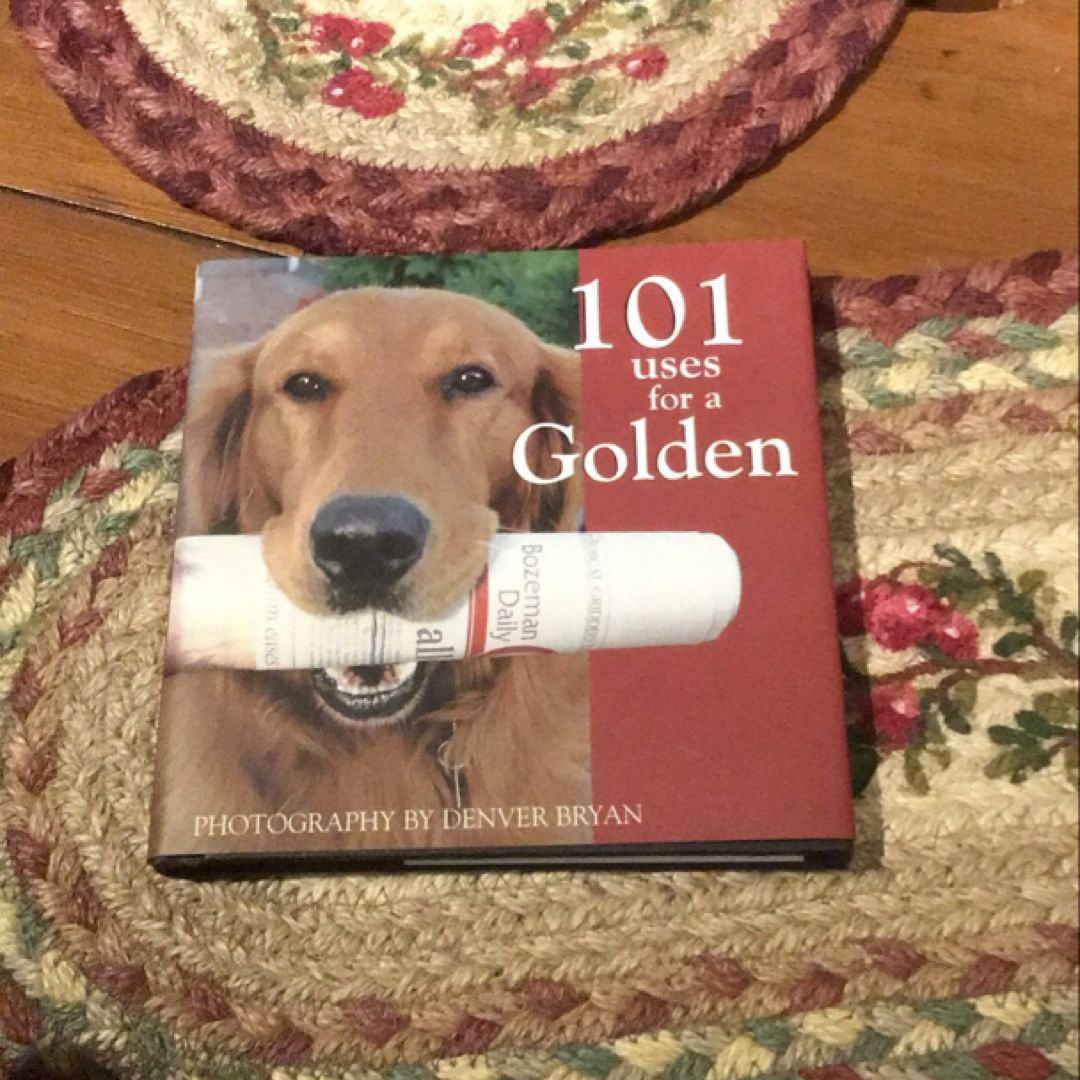101 Uses for a Golden Hardcover Book