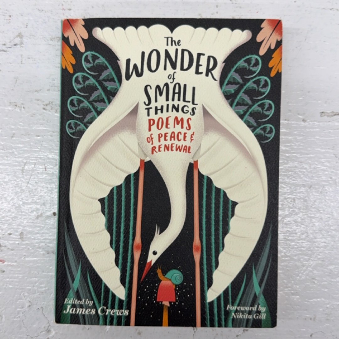 The Wonder of Small Things