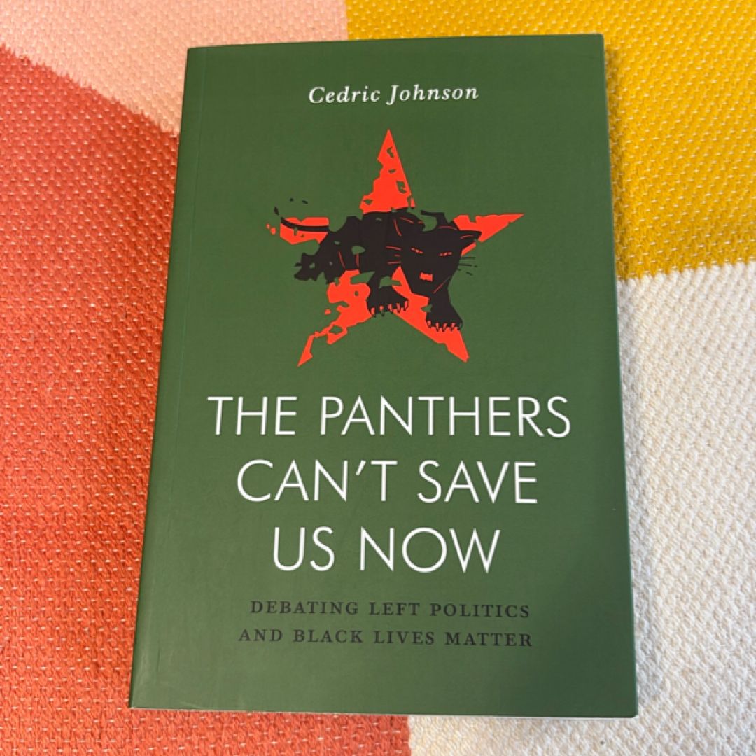The Panthers Can't Save Us Now