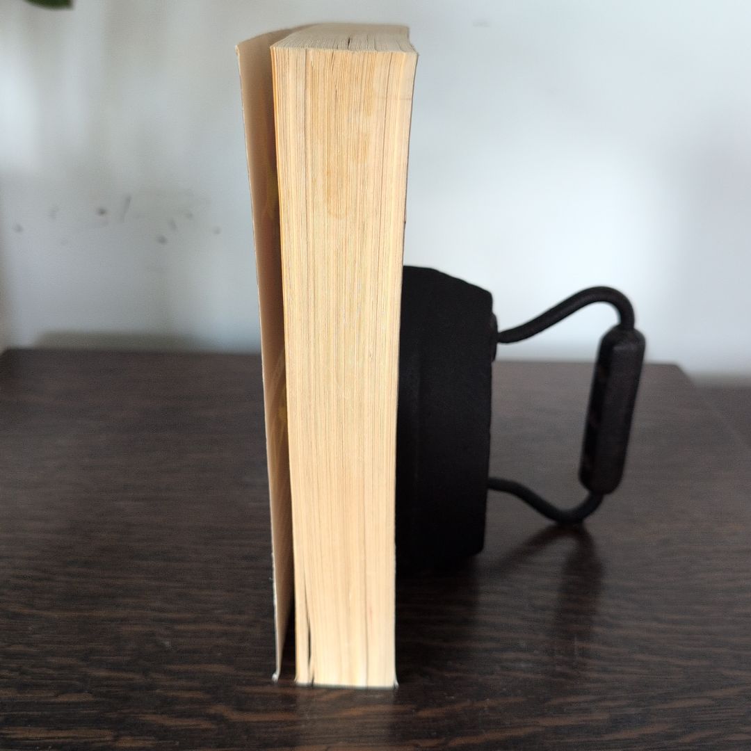 The Way of the Wizard