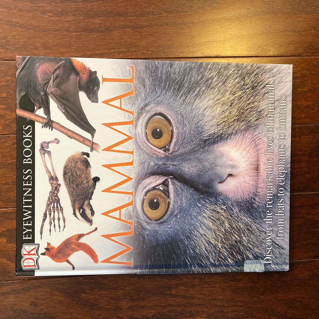 Mammal
