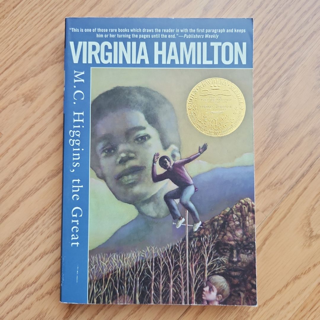 M. C. Higgins, the Great