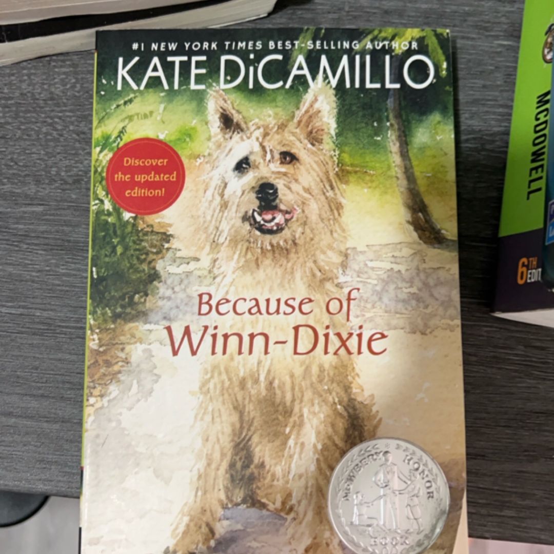 Because of Winn-Dixie