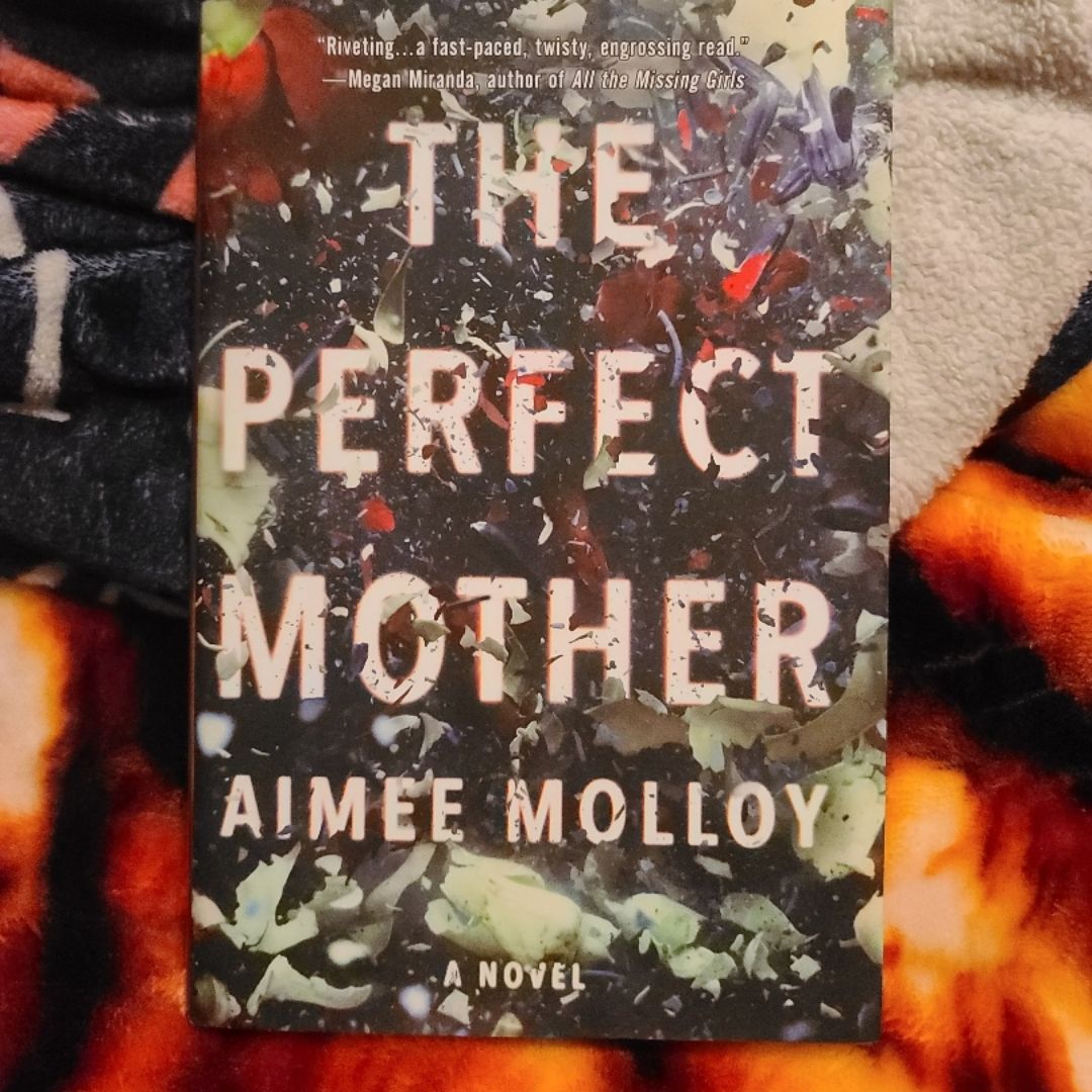 The Perfect Mother