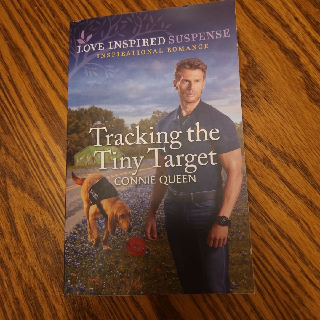 Tracking the Tiny Target