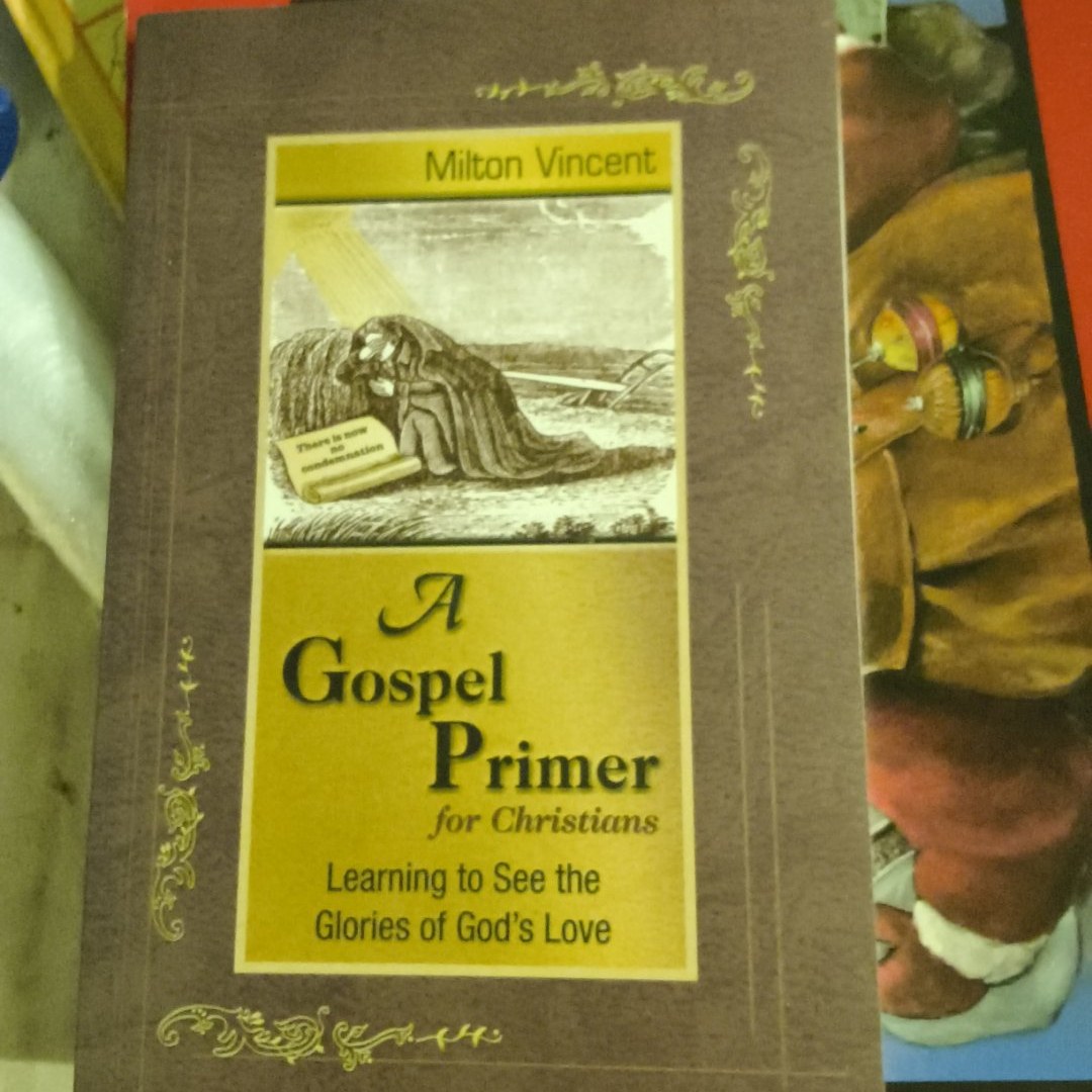 A Gospel Primer for Christians