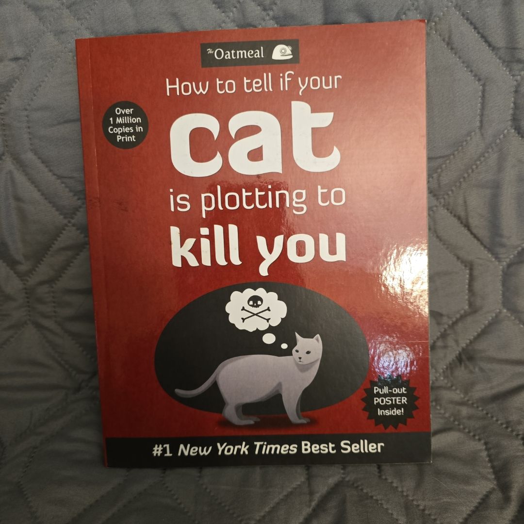 How to Tell If Your Cat Is Plotting to Kill You