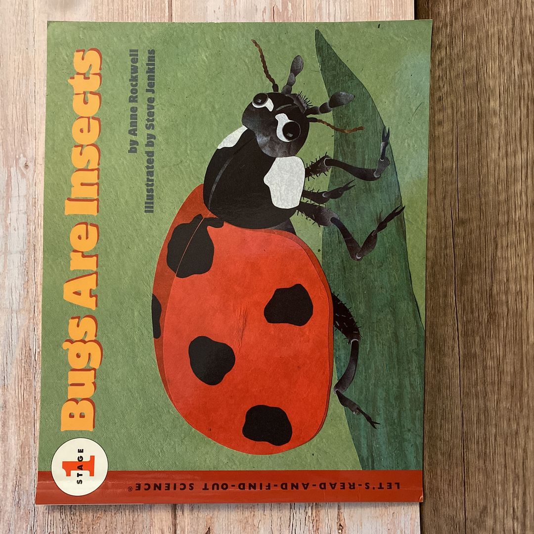 Bugs Are Insects