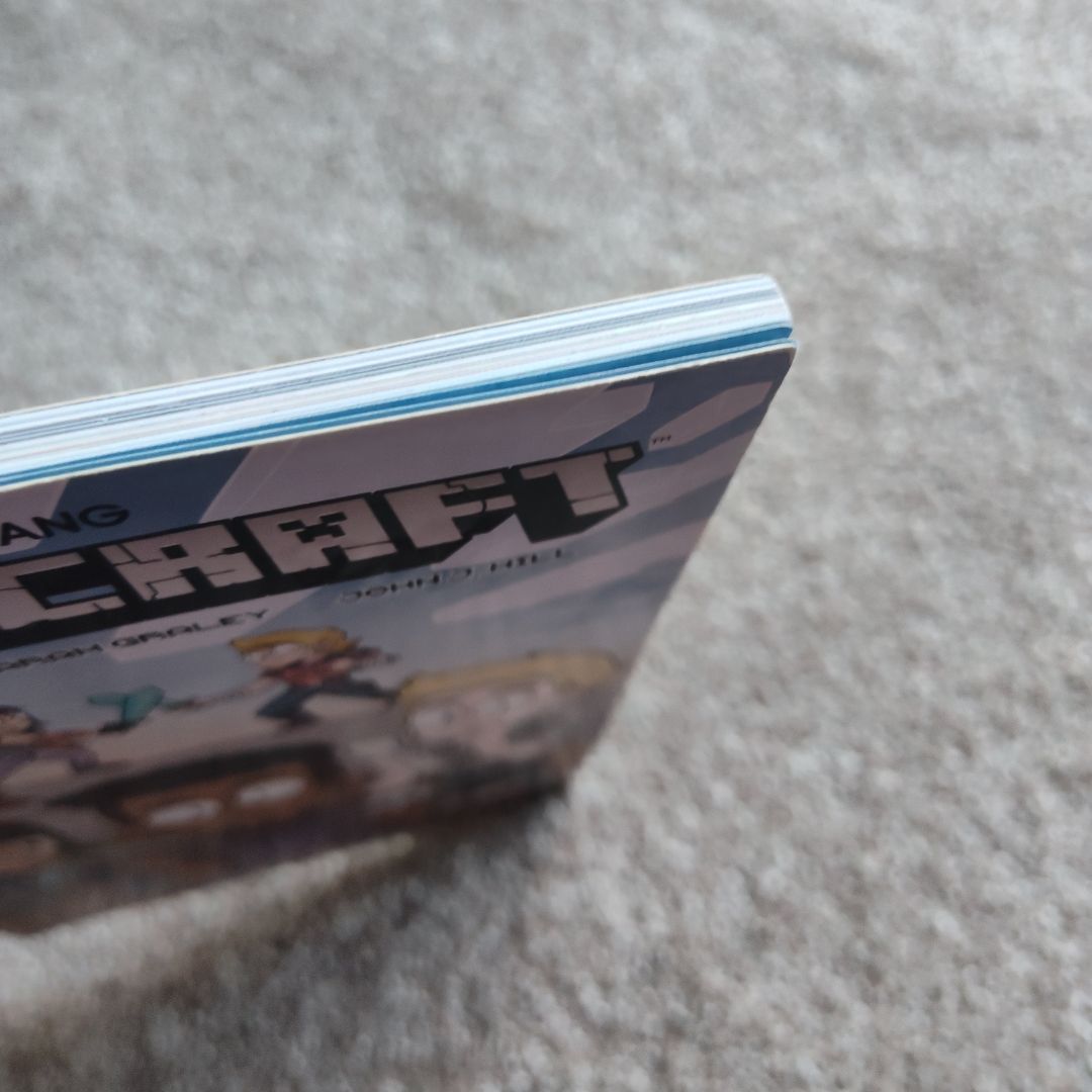 Minecraft Volume 1 (Graphic Novel)