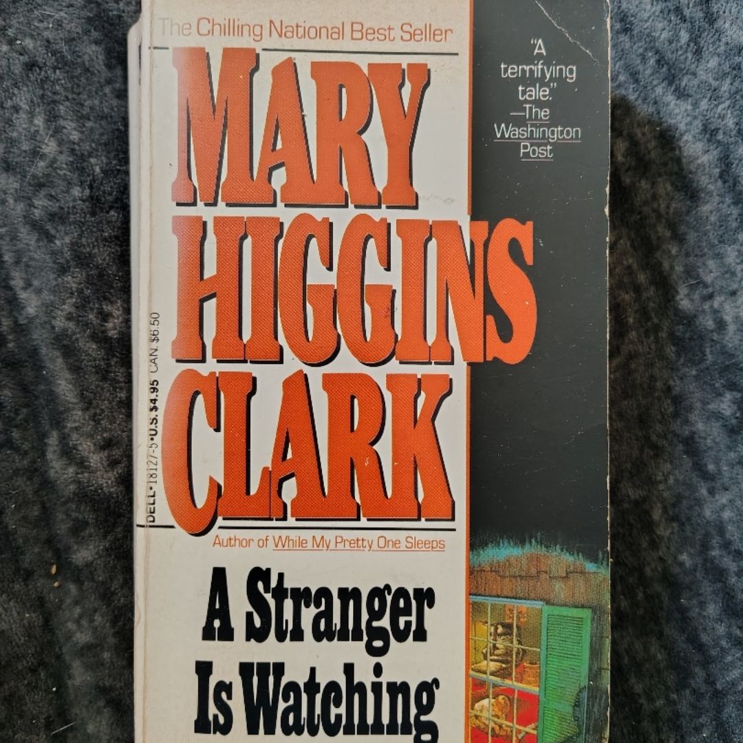 A Stranger Is Watching