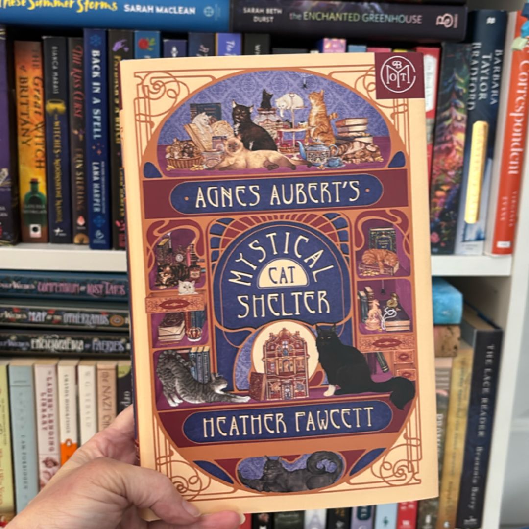 Agnes Aubert's Mystical Cat Shelter