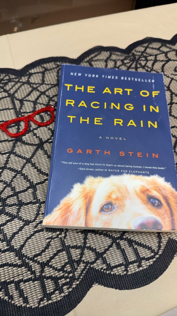 The Art of Racing in the Rain