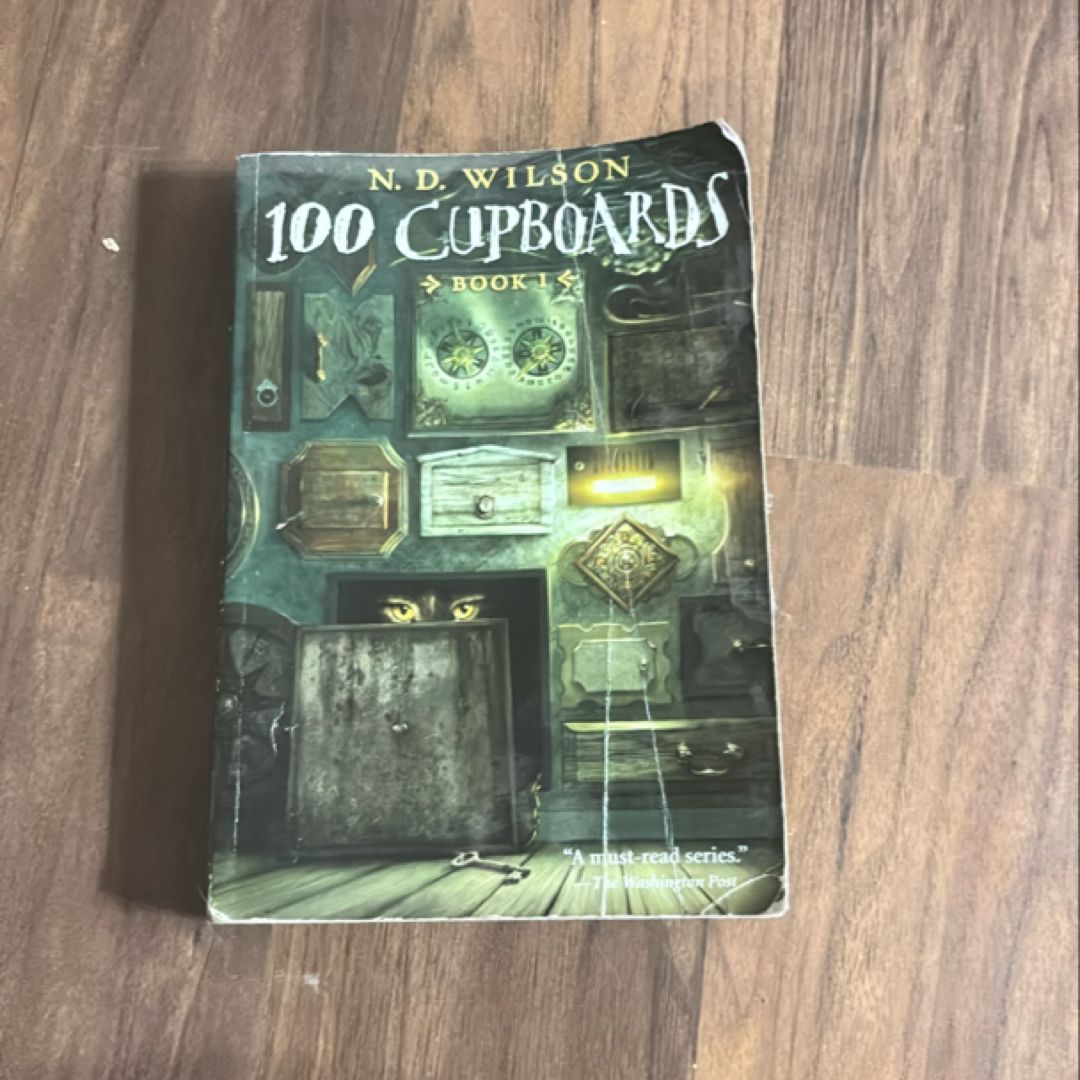 100 Cupboards (100 Cupboards Book 1)