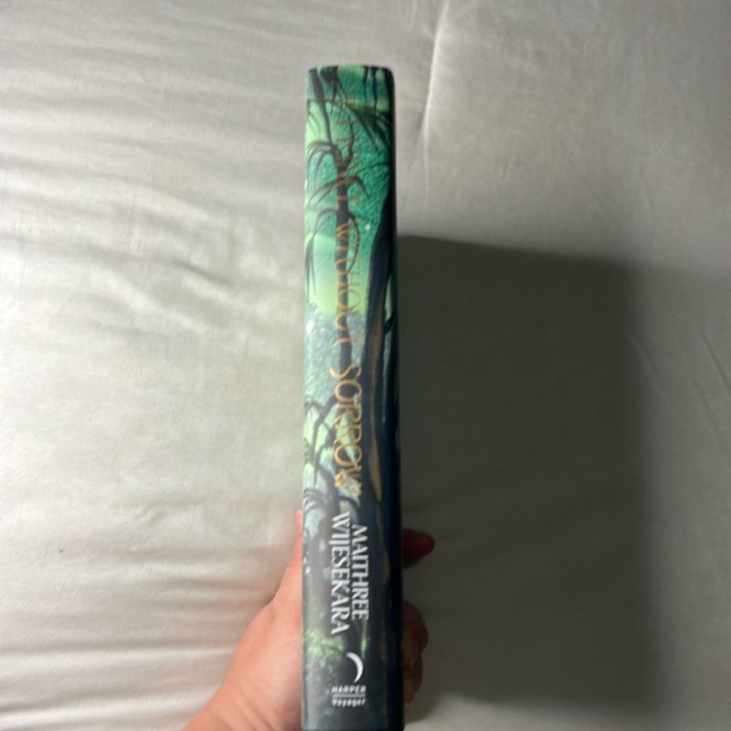 The Prince Without Sorrow