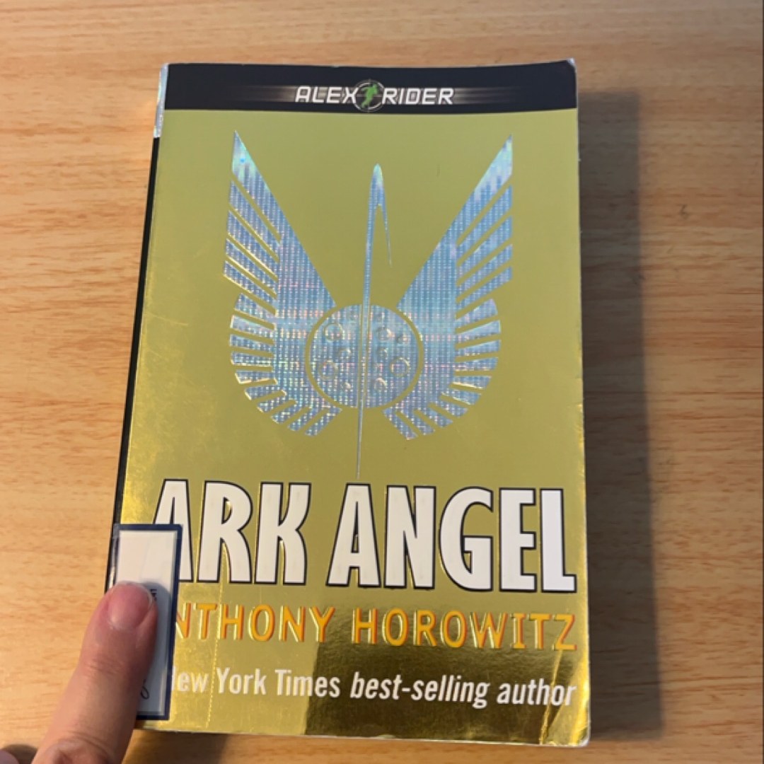 Ark Angel